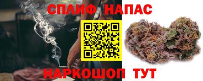 a pvp Ачхой-Мартан