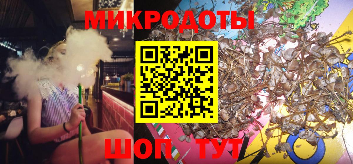 Галлюциногенные грибы Psilocybe Верхний Уфалей